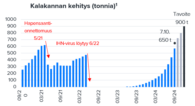 Fifax: Kaupalliset toimitukset käyntiin